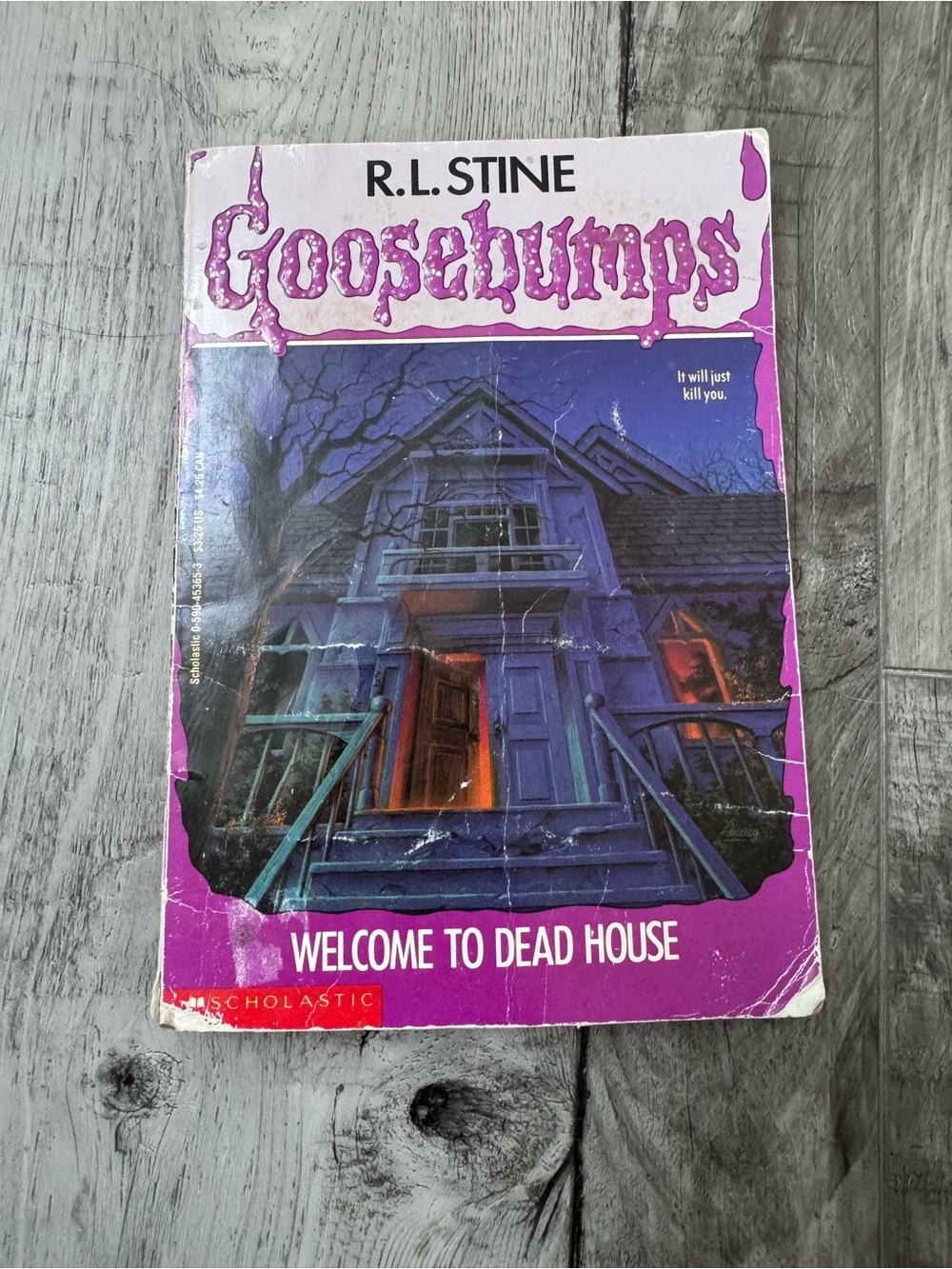 Vintage 1992 Goosebumps Welcome to Dead House Paperback Book